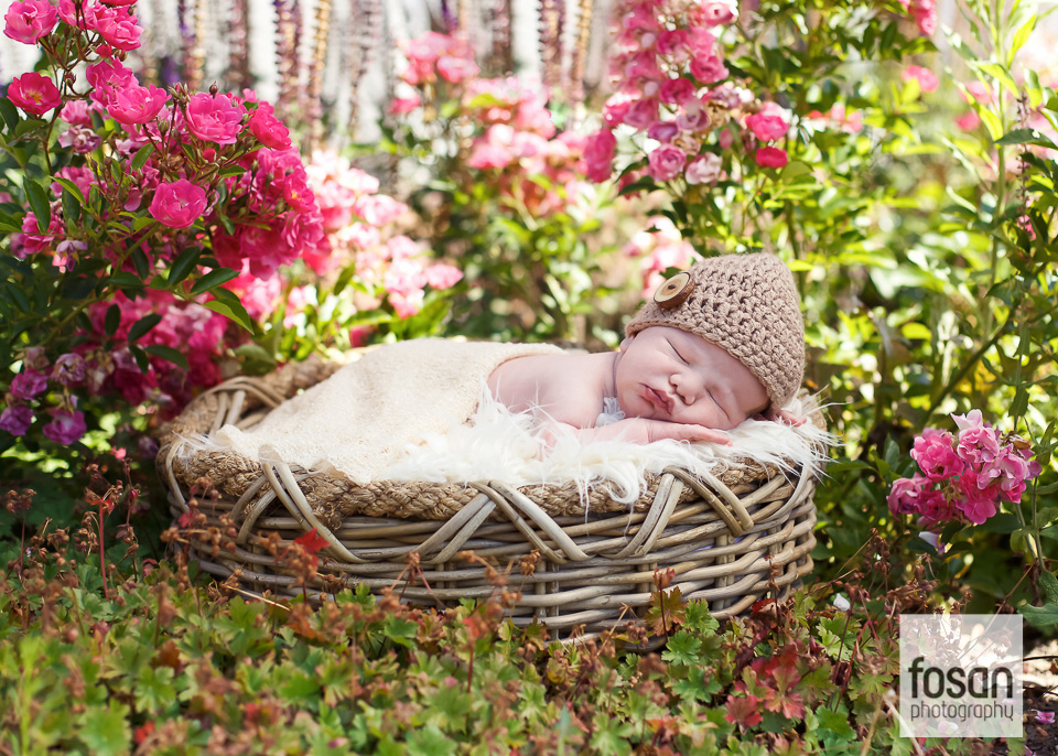 Neugeborenen fotografie Photography-6