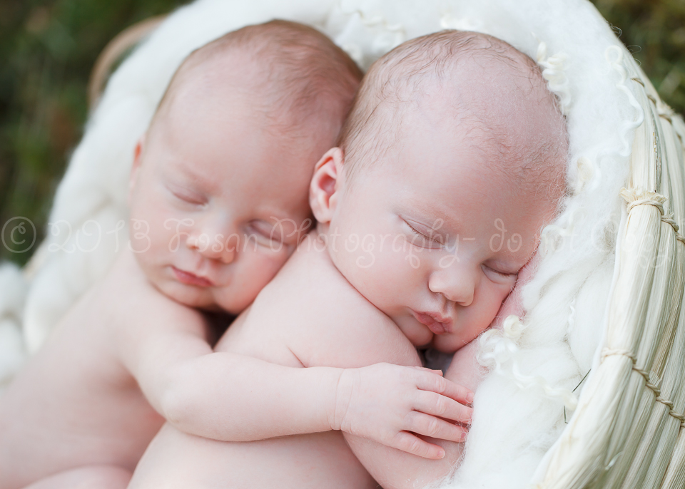 neugeborene-zwillinge-10